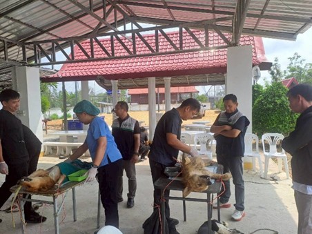 ประชาสัมพันธ์โครงการควบคุมประชากรสัตว์ (ผ่าตัดทำหมันสุนัขและแมว) ประจำปีงบประมาณ พ.ศ. 2569<br>เทศบาลตำบลน้ำคำใหญ่